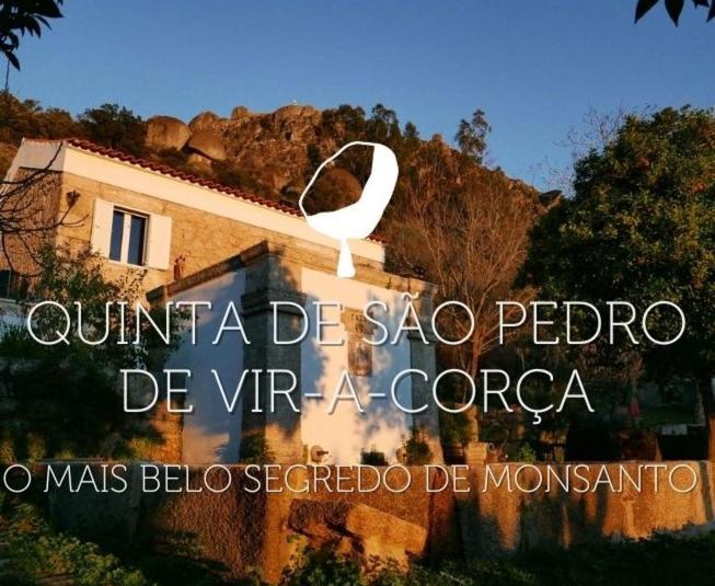 Monsanto - São Pedro de Vir-a-Corça Acomodação com café da manhã Exterior foto